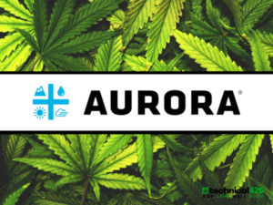 Aurora-Cannabis