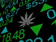 Titoli cannabis in calo dopo un’esplosione iniziale, previsioni per il 2020 titoli_azionari_cannabis